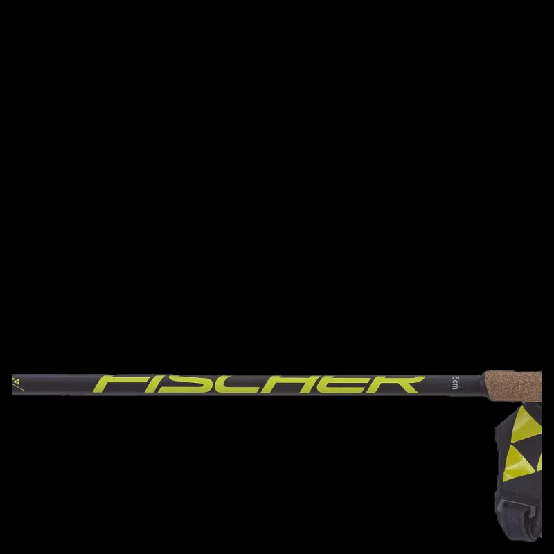 Fischer RCS Poles Black Svart