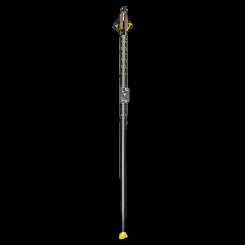 Fischer RCS Poles Black Svart