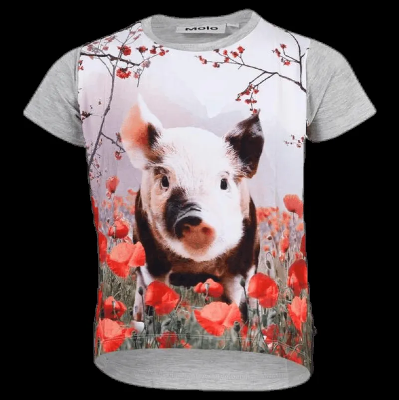 Molo Risha Piglet Grey Grå Hot