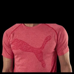 Puma RTG Evoknit Tee Red Rosa Clearance