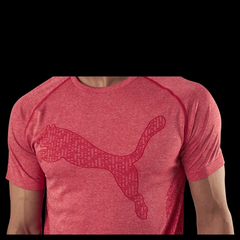 Puma RTG Evoknit Tee Red Rosa Clearance