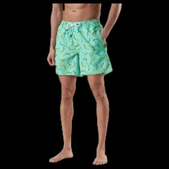 Dedicated Swim Shorts Sandhamn Bananas Green Grön Online