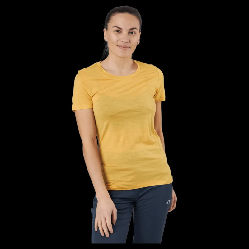 Icebreaker Tech Lite Ii Ss Tee Safflower Gul Online
