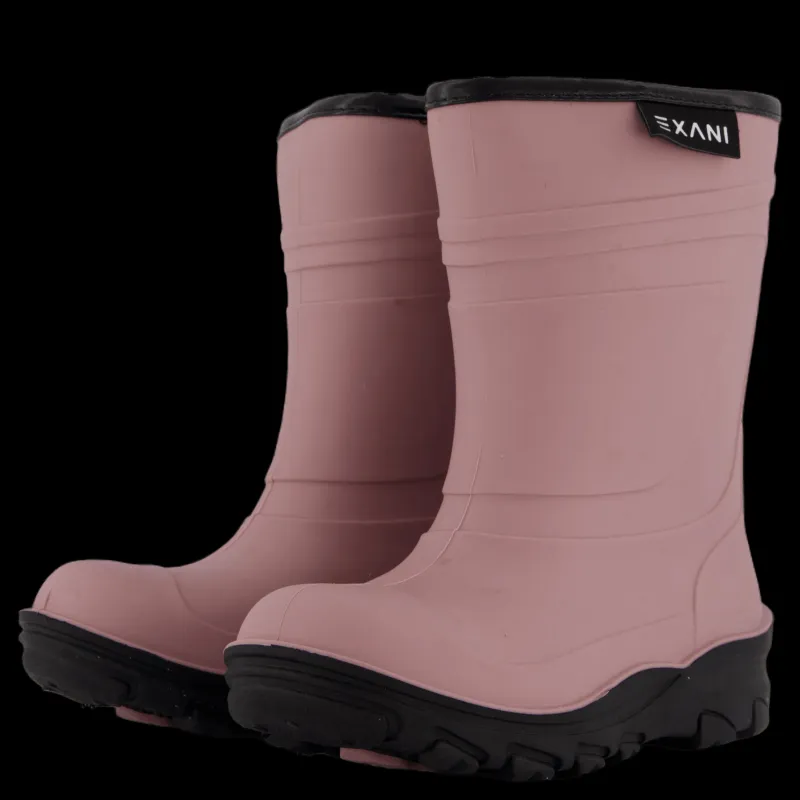 Exani Ted K Plum Lila