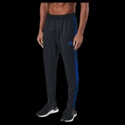 Discount adidas Tiro Tr Pnt Es Black/royblu Svart