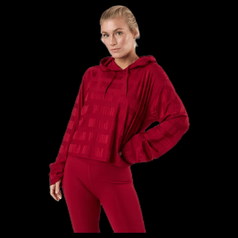 Online Puma Train First Mile Mono Hoodie Red Lila