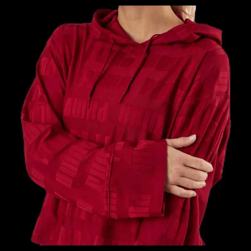 Online Puma Train First Mile Mono Hoodie Red Lila