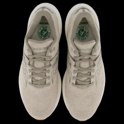 Discount Saucony Triumph Rfg Coffee Grå