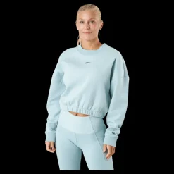 Reebok Ts Dreamblend Cotton Ml Seagry Blå