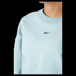 Reebok Ts Dreamblend Cotton Ml Seagry Blå