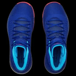 Under Armour Havoc 2 Blå Clearance