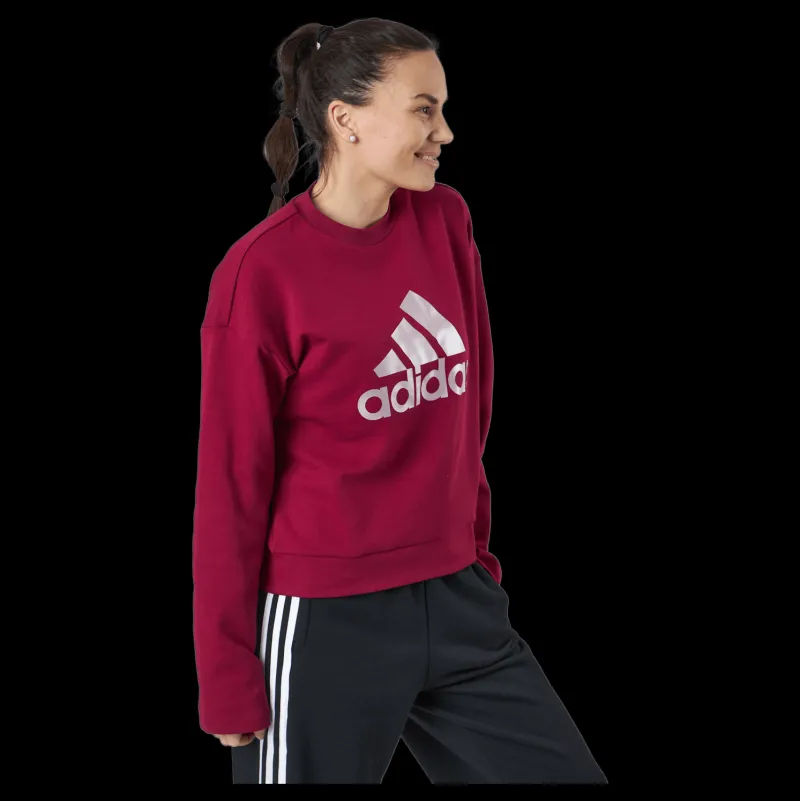 Outlet adidas W Uforu Swt Legacy Burgundy Röd