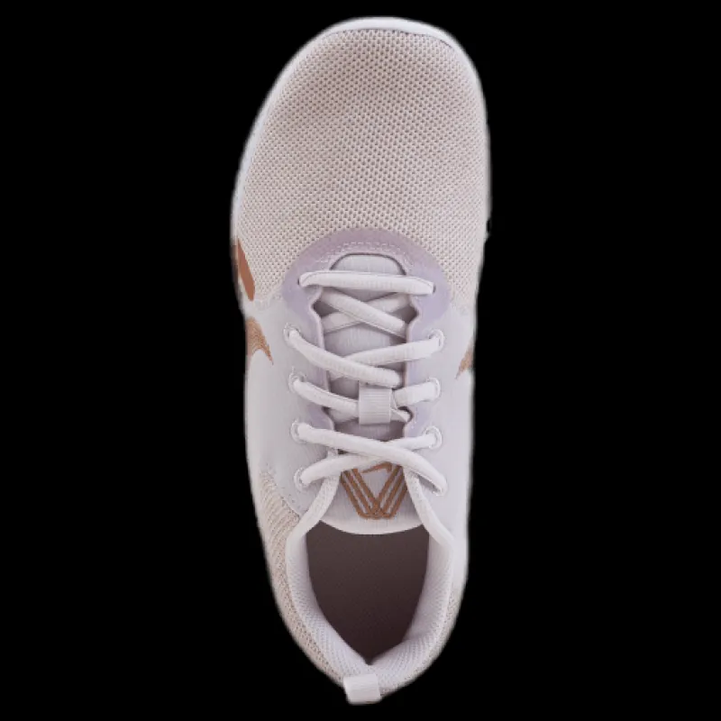 Clearance Nike Wmns Flex Experience Run 10 Champagne/mtlc Red Bronze-ligh Röd