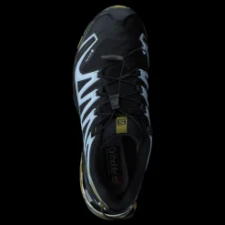 Salomon Xa Pro 3d V8 Gtx W Black/green Moss/zen Blue Svart
